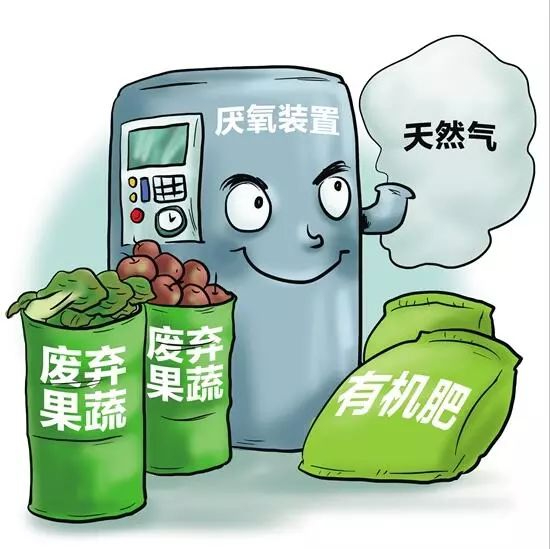 果蔬垃圾零排放全資源化處理環(huán)保項目——“神奇菜葉”變廢為寶